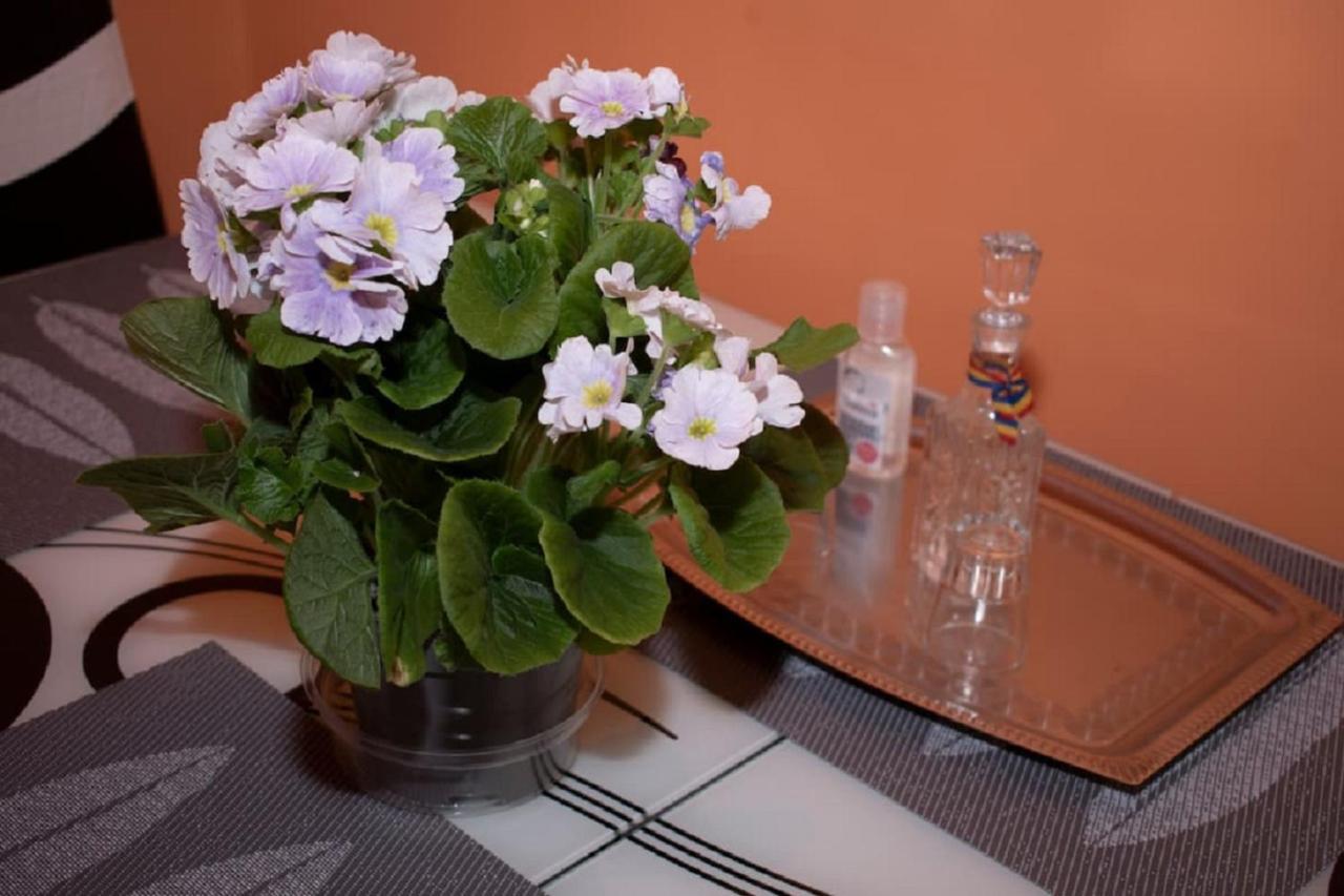 Maria Apartment Sibiu